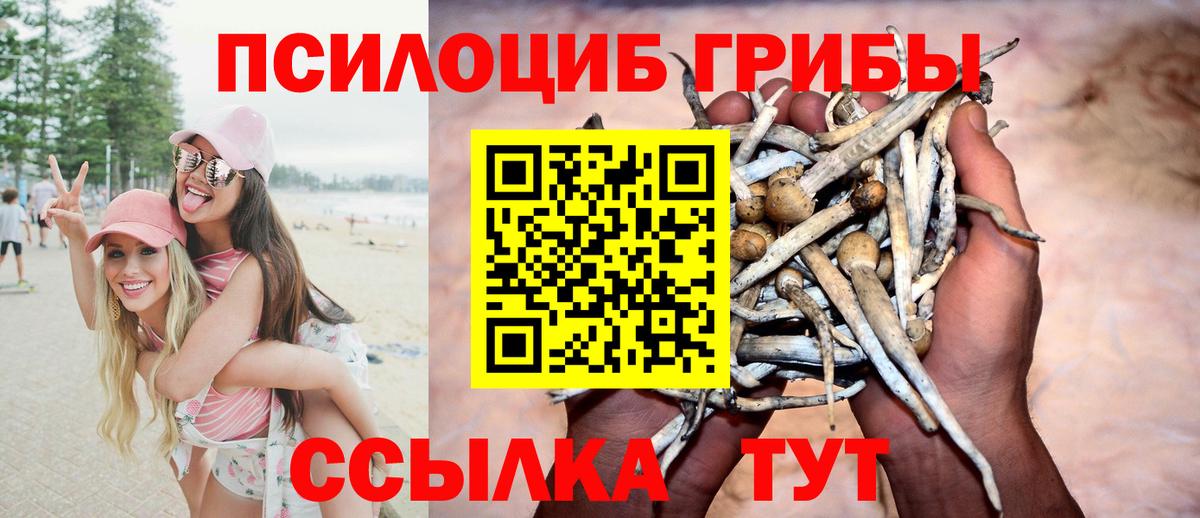 Псилоцибиновые грибы MAGIC MUSHROOMS  Вход с VPN  купить наркоту  Кисловодск 