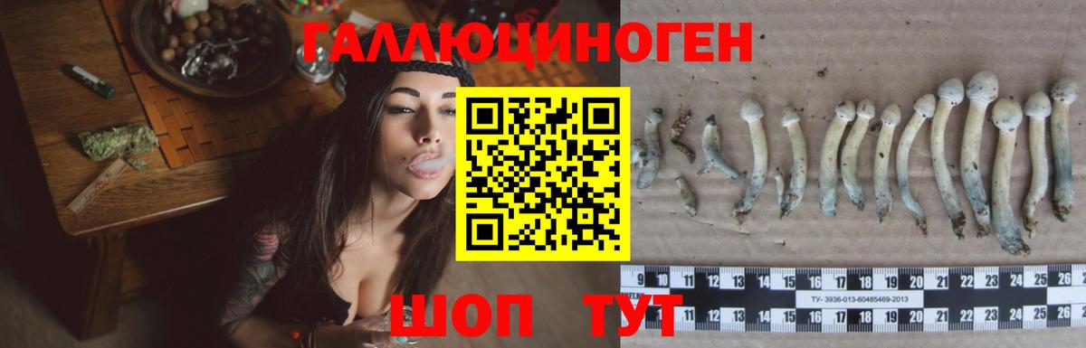Псилоцибиновые грибы мухоморы Кисловодск